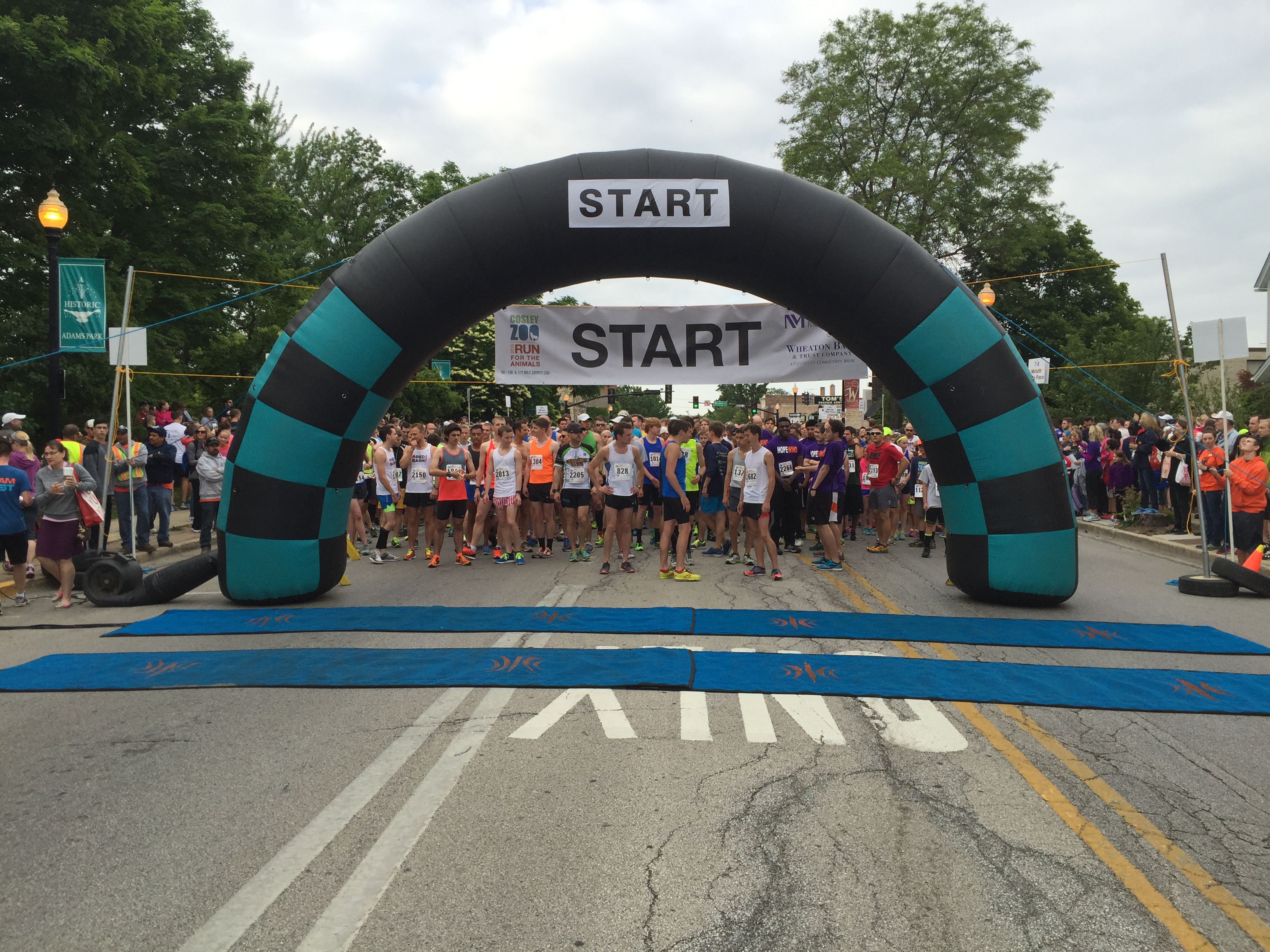 2015 Cosley Zoo Run